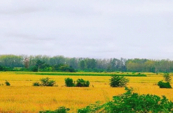 珍藏级30句励志话：给追梦路上的你无限力量